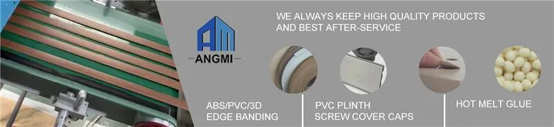 PVC Fast Cap/PVC Furniture Sticker/PVC Screw Cover