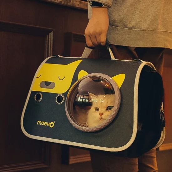 Pet Transparent Backpack Luxury Carrier Pet Travel Portable Carry Bag